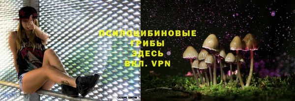 2c-b Новодвинск