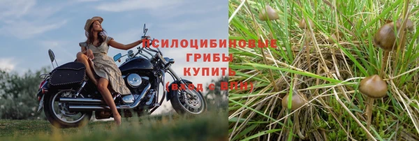 ECSTASY Вуктыл