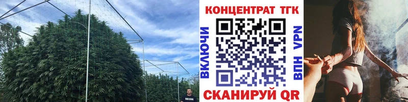 ТГК Wax  сколько стоит  Семилуки 