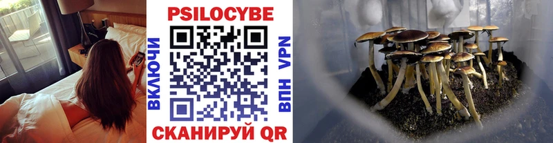 Псилоцибиновые грибы Psilocybe Семилуки