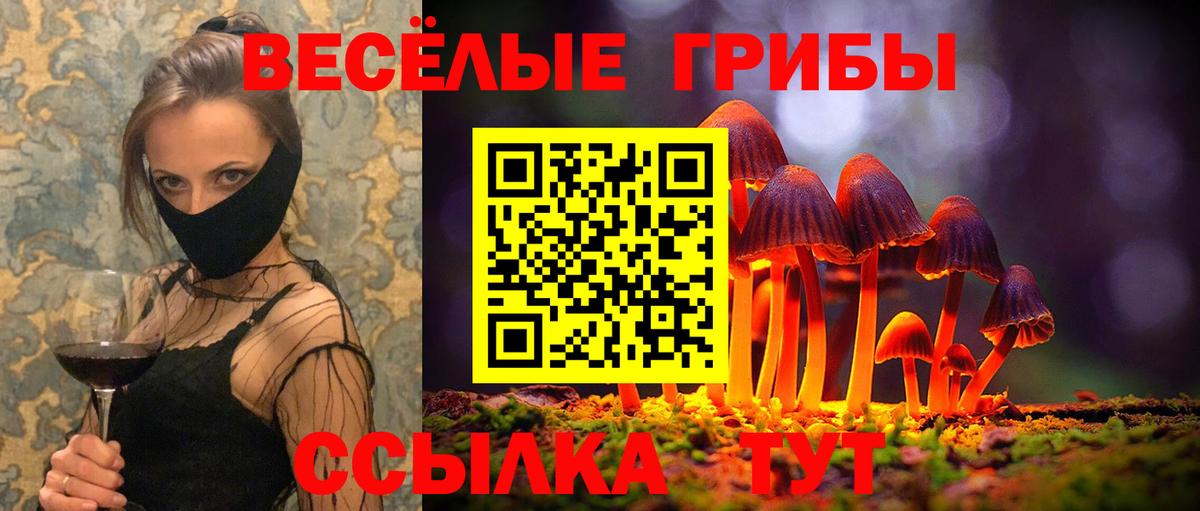 Псилоцибиновые грибы мицелий Семилуки