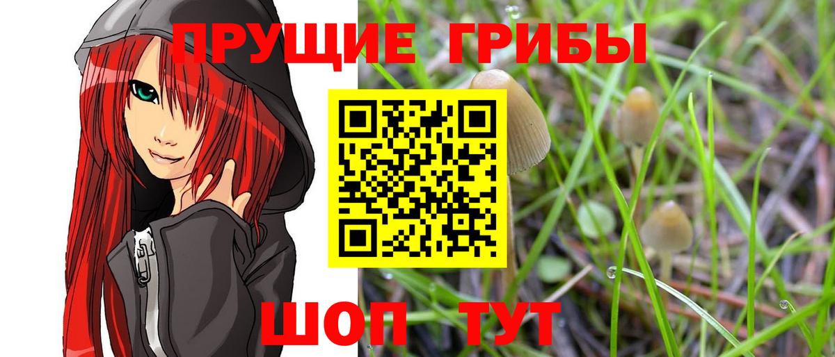 Галлюциногенные грибы Psilocybe  Псилоцибиновые грибы Psilocybine cubensis  Вход с VPN  Семилуки 